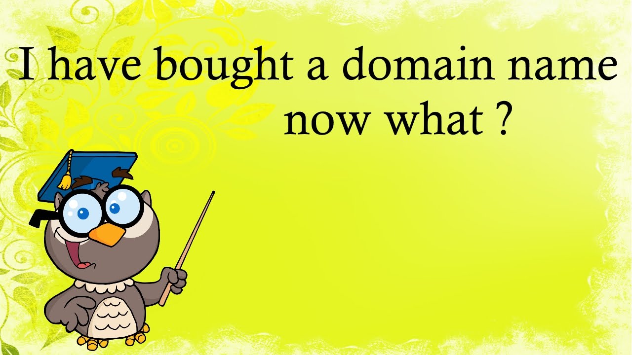 I Have A Domain Name Now What?