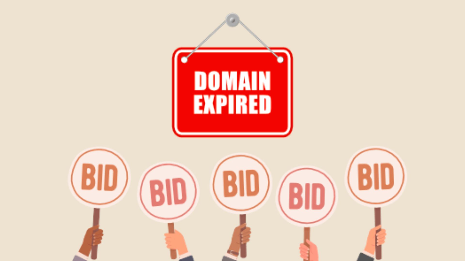 Find And Buy Expired Domains Step By Step